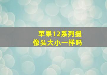 苹果12系列摄像头大小一样吗