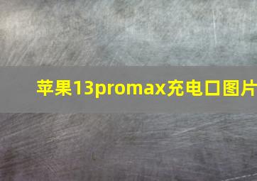 苹果13promax充电口图片