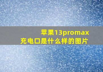 苹果13promax充电口是什么样的图片