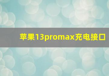 苹果13promax充电接口