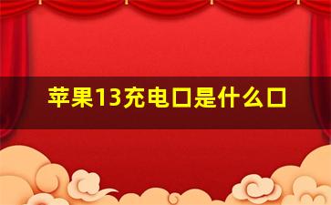 苹果13充电口是什么口