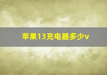 苹果13充电器多少v