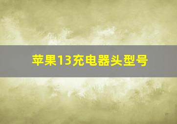 苹果13充电器头型号