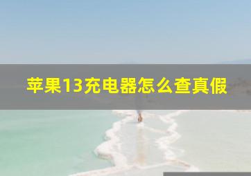 苹果13充电器怎么查真假