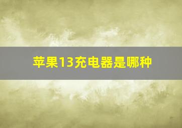 苹果13充电器是哪种