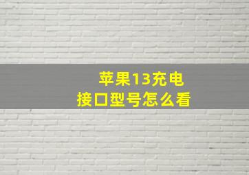 苹果13充电接口型号怎么看