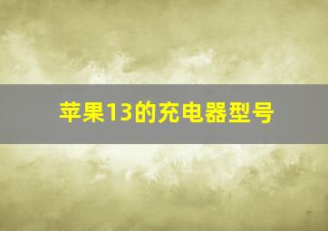 苹果13的充电器型号