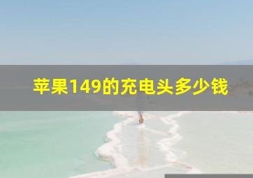 苹果149的充电头多少钱