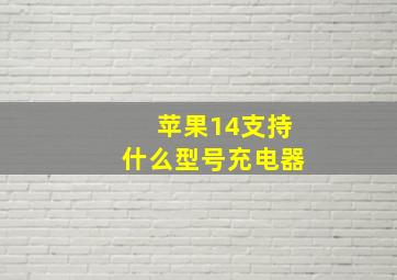 苹果14支持什么型号充电器