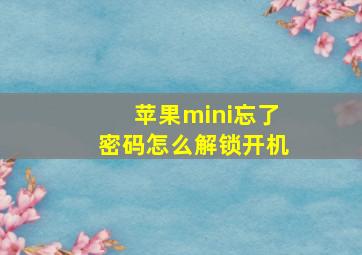 苹果mini忘了密码怎么解锁开机