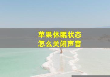 苹果休眠状态怎么关闭声音