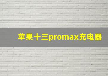 苹果十三promax充电器