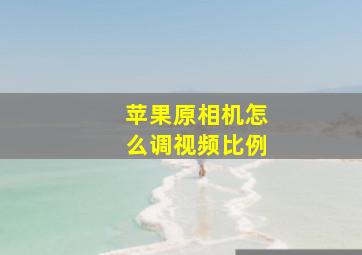 苹果原相机怎么调视频比例