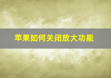 苹果如何关闭放大功能