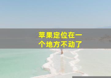 苹果定位在一个地方不动了