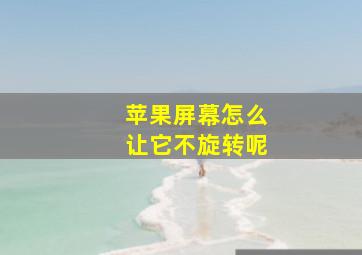 苹果屏幕怎么让它不旋转呢