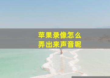 苹果录像怎么弄出来声音呢