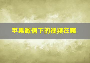 苹果微信下的视频在哪