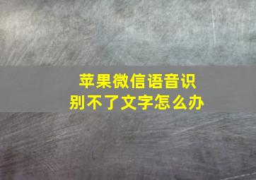 苹果微信语音识别不了文字怎么办