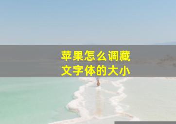 苹果怎么调藏文字体的大小