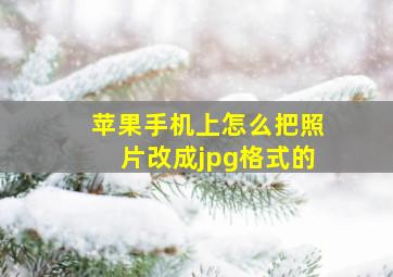 苹果手机上怎么把照片改成jpg格式的