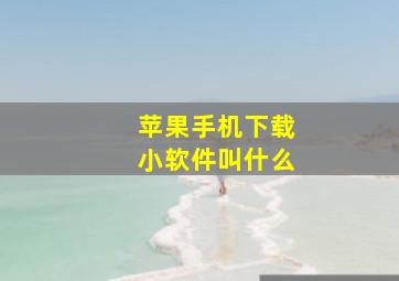 苹果手机下载小软件叫什么