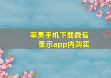 苹果手机下载微信显示app内购买