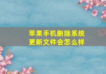 苹果手机删除系统更新文件会怎么样