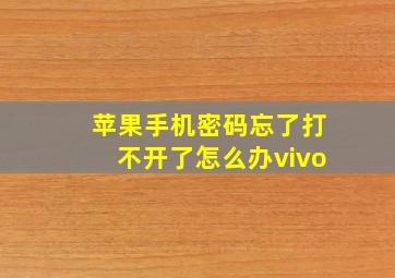 苹果手机密码忘了打不开了怎么办vivo