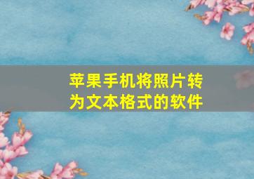 苹果手机将照片转为文本格式的软件