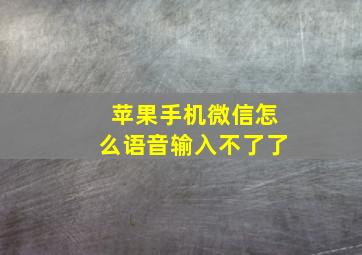 苹果手机微信怎么语音输入不了了