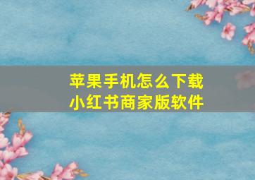 苹果手机怎么下载小红书商家版软件