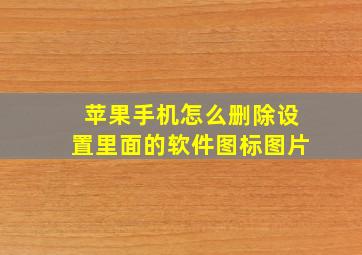 苹果手机怎么删除设置里面的软件图标图片