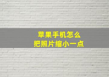 苹果手机怎么把照片缩小一点