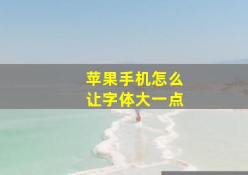 苹果手机怎么让字体大一点