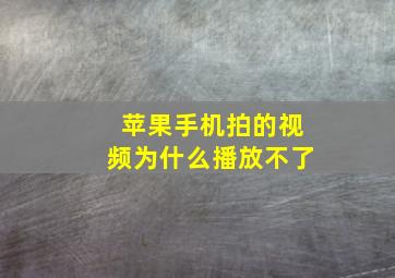 苹果手机拍的视频为什么播放不了