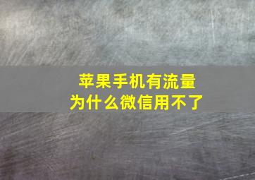 苹果手机有流量为什么微信用不了