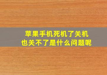 苹果手机死机了关机也关不了是什么问题呢