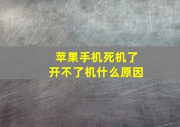 苹果手机死机了开不了机什么原因