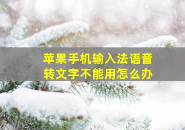 苹果手机输入法语音转文字不能用怎么办