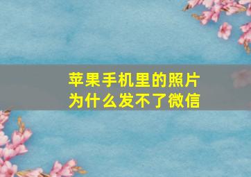 苹果手机里的照片为什么发不了微信