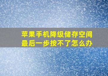 苹果手机降级储存空间最后一步按不了怎么办