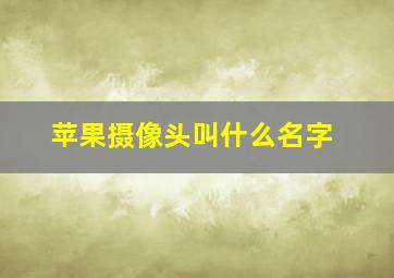 苹果摄像头叫什么名字