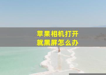 苹果相机打开就黑屏怎么办