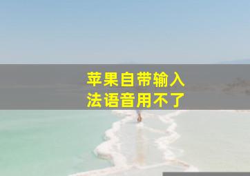 苹果自带输入法语音用不了