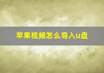 苹果视频怎么导入u盘