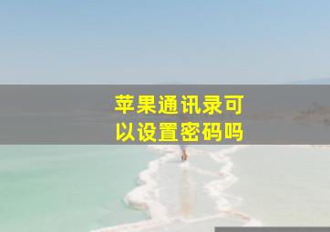 苹果通讯录可以设置密码吗