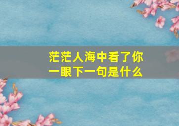 茫茫人海中看了你一眼下一句是什么