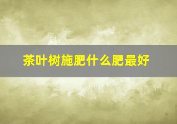 茶叶树施肥什么肥最好