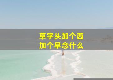 草字头加个西加个早念什么